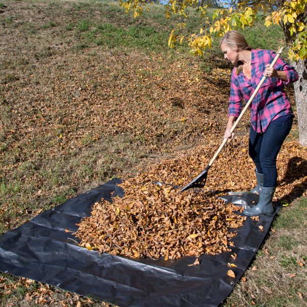 Bache-feuille-jardin